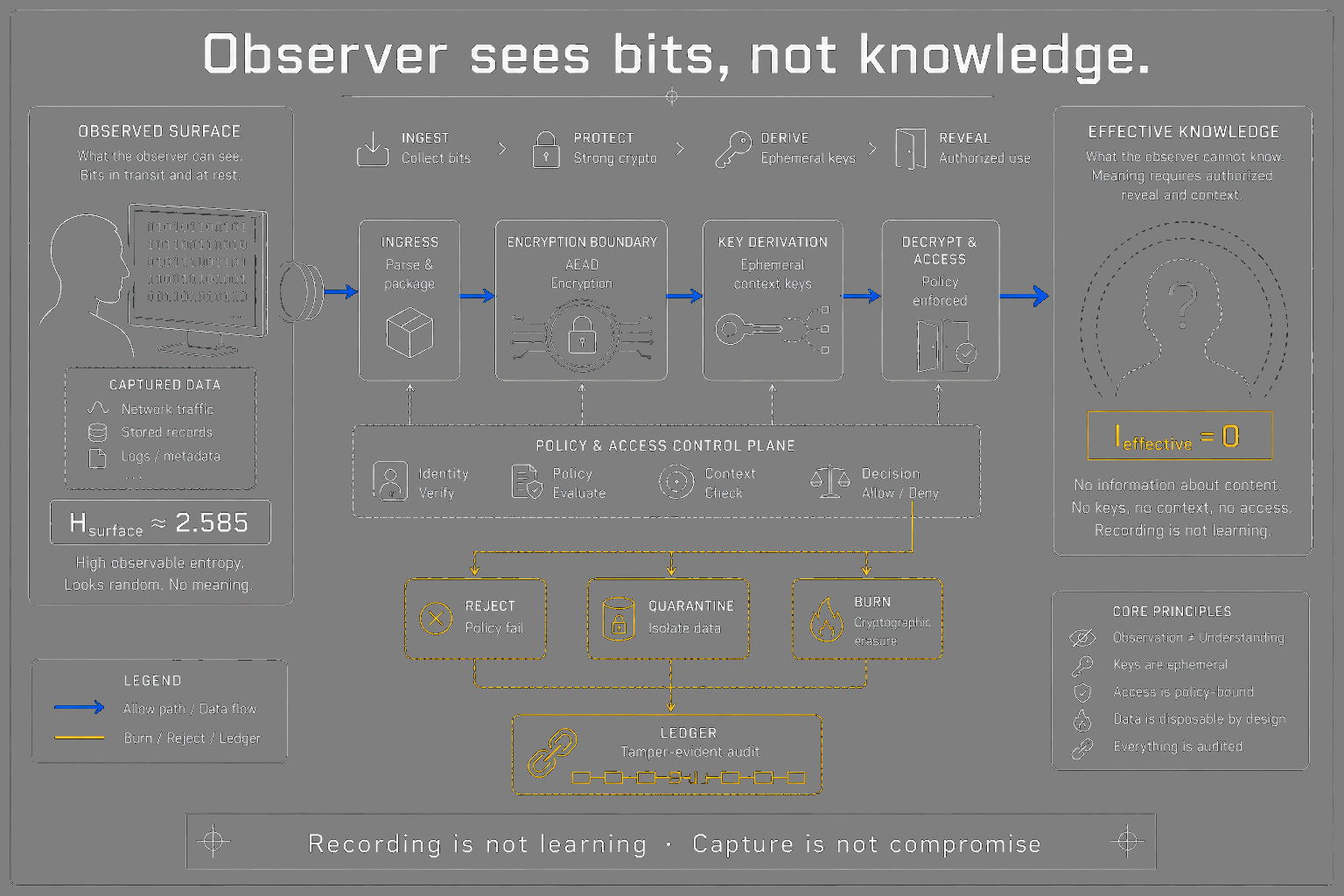 Surface bits versus effective bits with observer independence